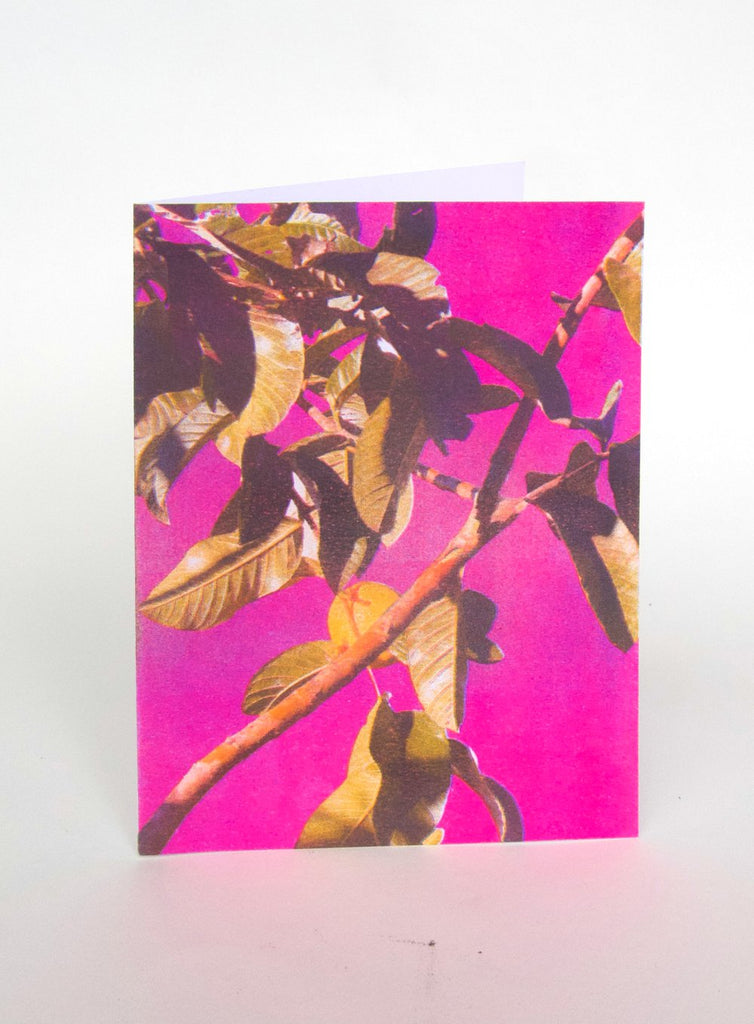 Pencil Urchin Press Greeting Cards