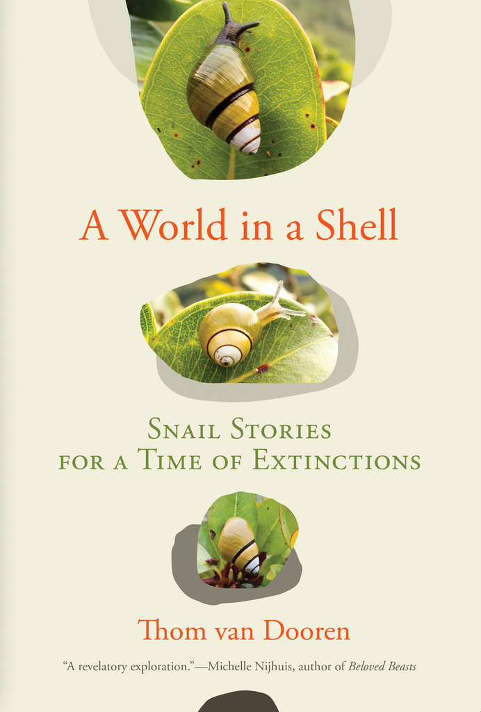 light green cover with three snails on leaves each graphically placed: one on top, in the middle, and at the bottom. Book title, "A World in a Shell" at the top half of the page, in red text. Some praise is included at the bottom of the cover from Michelle Nijhuis, author of Beloved Beasts, who says the book is a "A revelatory exploration."